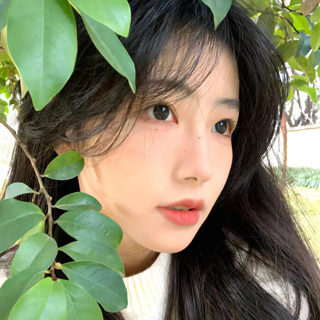圣诞男孩
