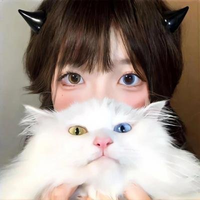 圣诞狗狗救援