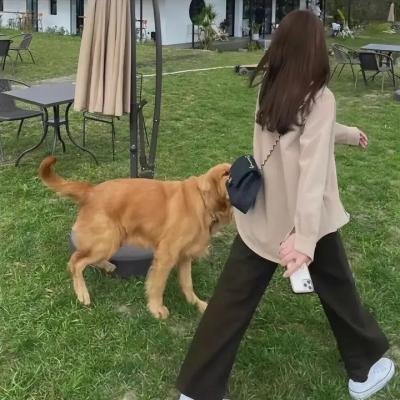 吸血鬼猎人巴菲第二季